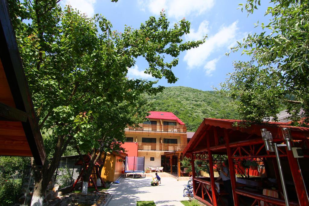 Pensiunea Jojo Băile Herculane Exterior foto