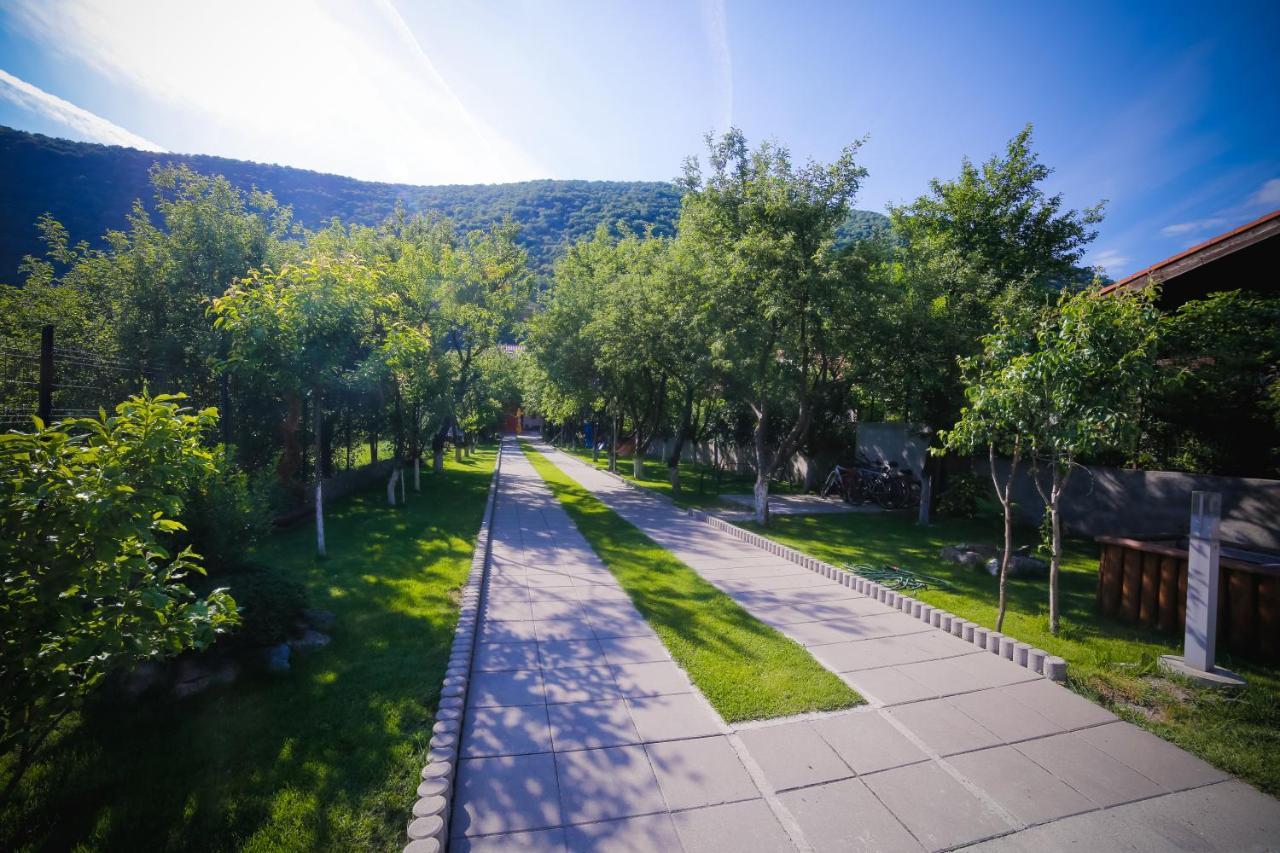 Pensiunea Jojo Băile Herculane Exterior foto